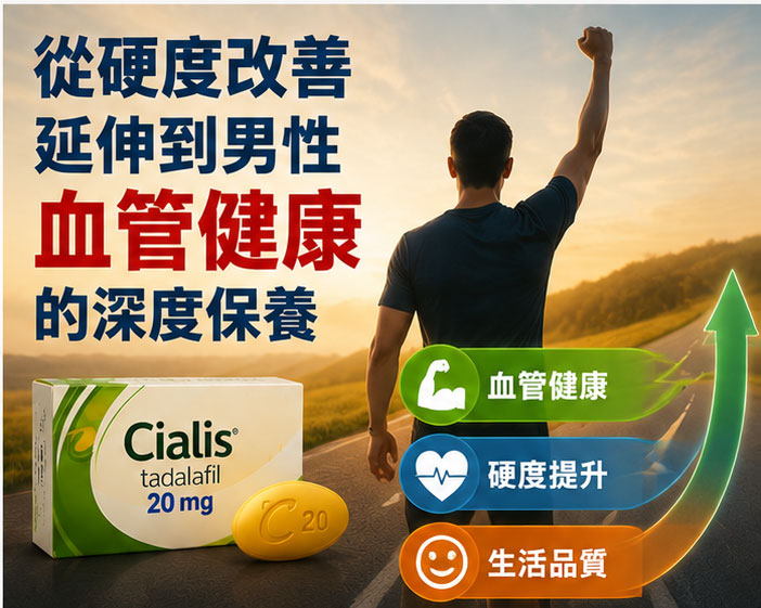 🏗️ 從硬度改善延伸到男性血管健康的深度保養 🏗️ 從硬度改善延伸到男性血管健康的深度保養