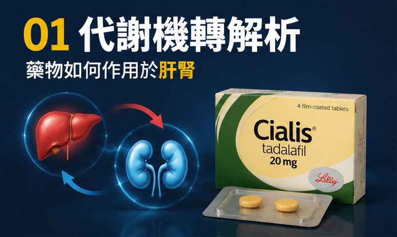 🧐 犀利士能一直吃嗎？從藥理機制揭開「犀利士長期服用」的安全性