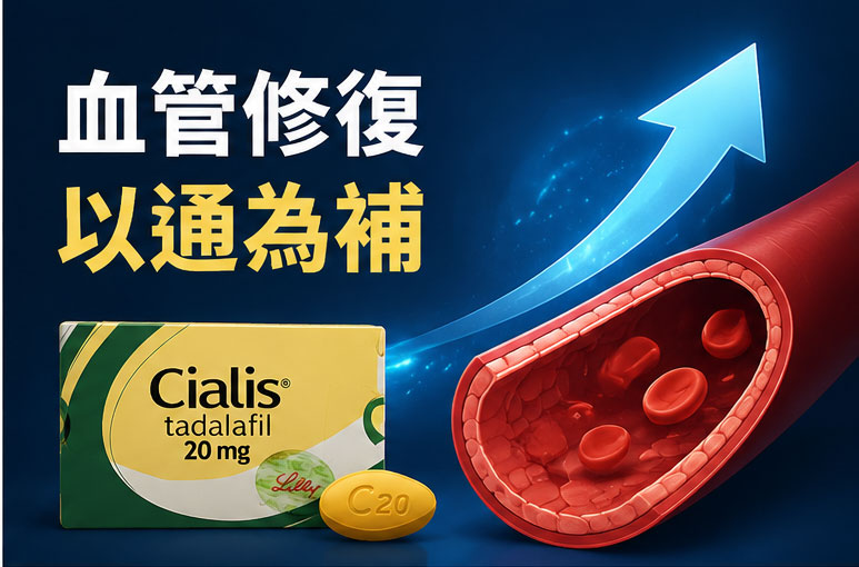 🛠️ 長期血管修復的醫學實證：小黃丸如何「以通為補」？